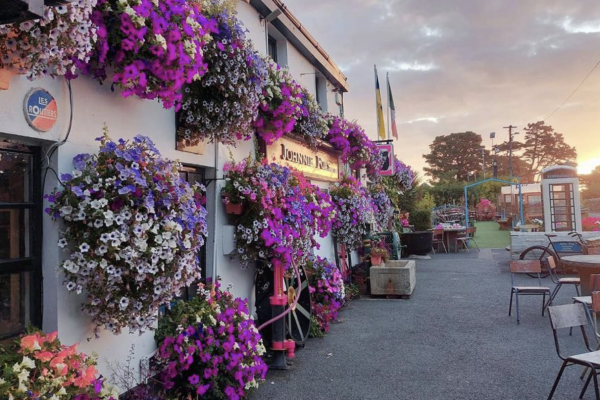 exterior of johnnie fox's